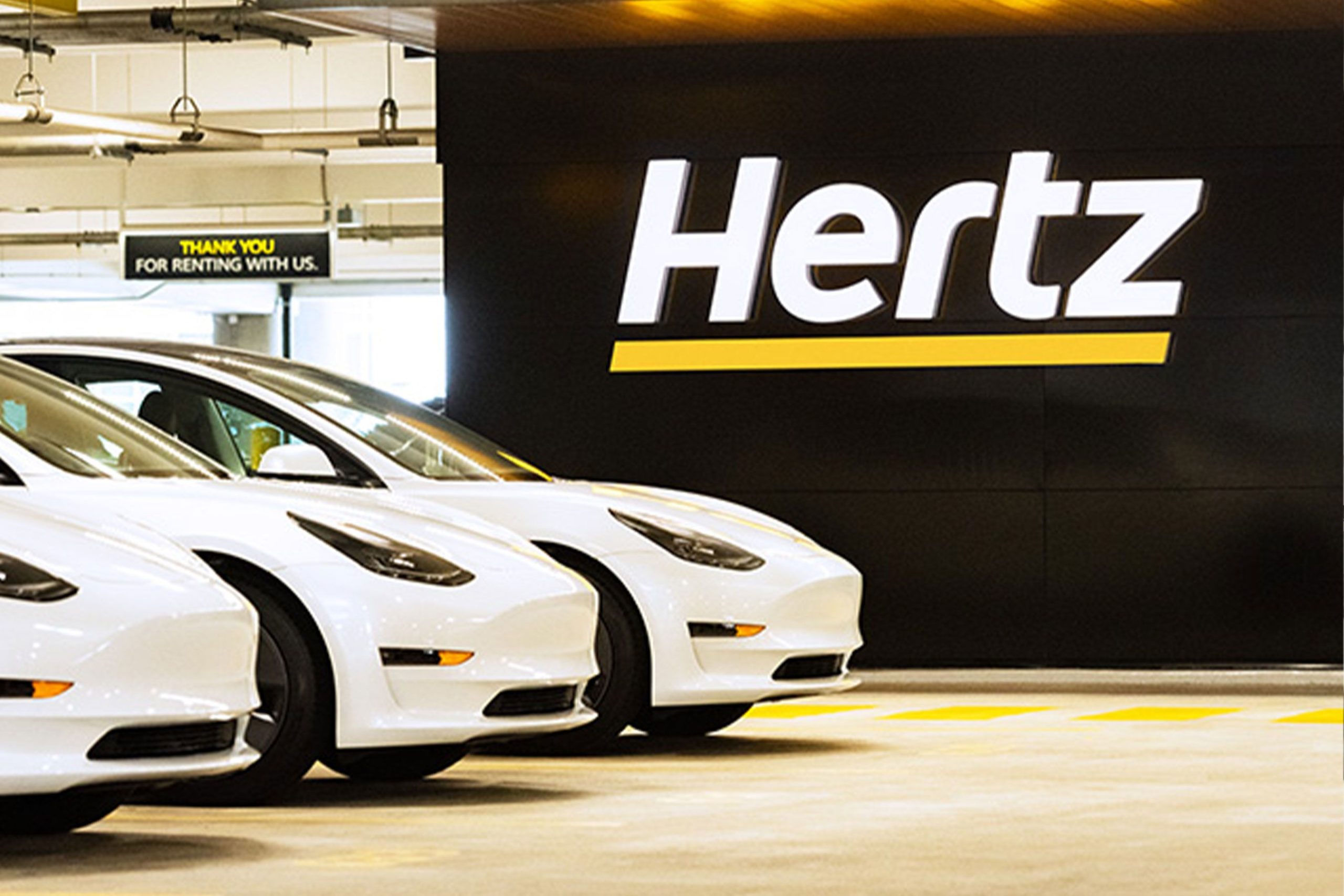 hertz-rental-fleet-1635167972